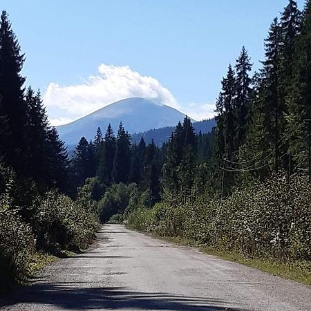 Вилла Говерлянка Ворохта Экстерьер фото